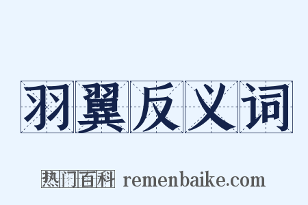 羽翼反义词是什么意思的图片